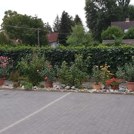 Ilona Балатонбоглар